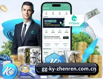 开云真人 APP 深度功能