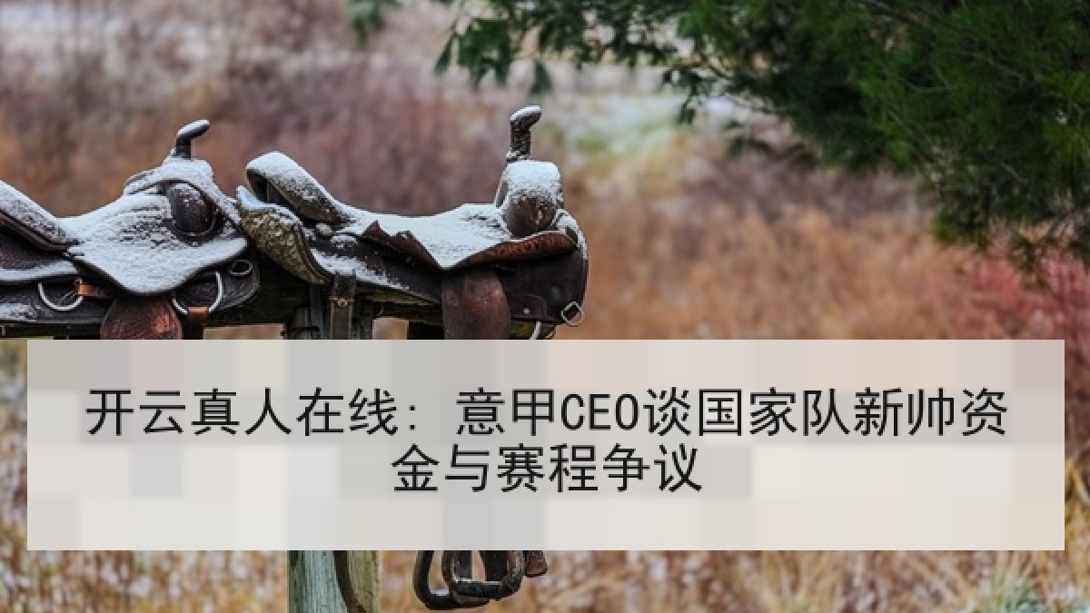 开云真人在线: 意甲CEO谈国家队新帅资金与赛程争议